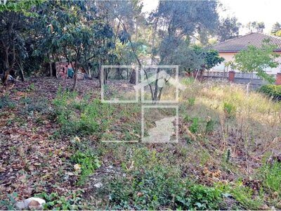 Local en Blat, Rubí Barcelona