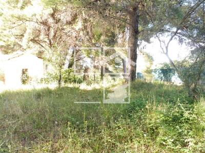 Local en Sant Quirze del Vallès Barcelona