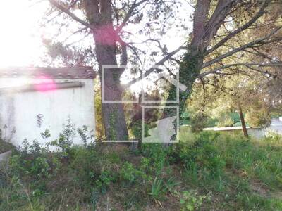 Local en Sant Quirze del Vallès Barcelona